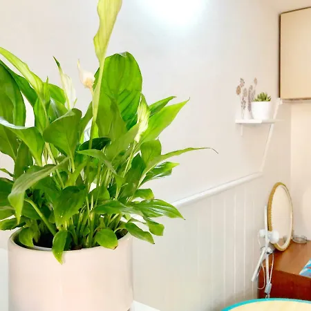 Studio & Free Parking, Aircool, Fresh Bedding Apartment