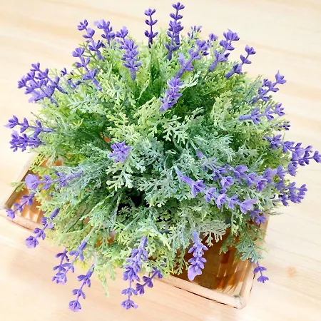 Apartment Free Parking Front Of Your 365d Lovran